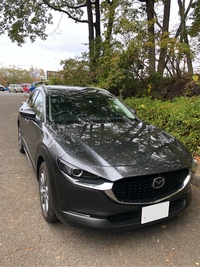 マツダ CX-30 20S プロアクティブ ツーリングセレクション_4WD(AT_2.0)