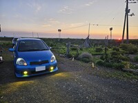 トヨタ ヴィッツ