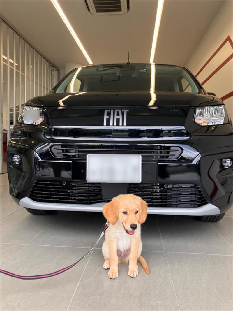 フィアット ドブロ