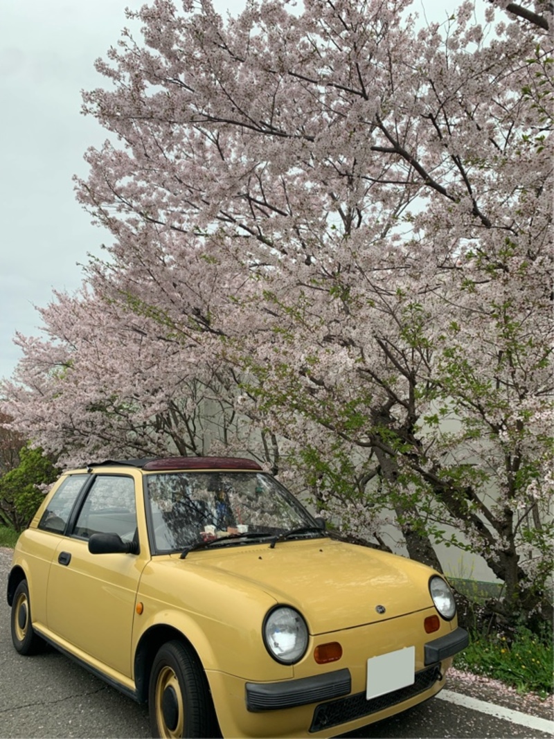 日産 Be-1 Be-1_キャンバストップ(AT_1.0)