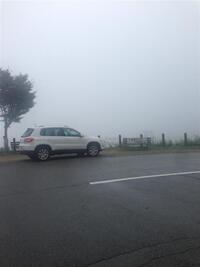 フォルクスワーゲン ティグアン