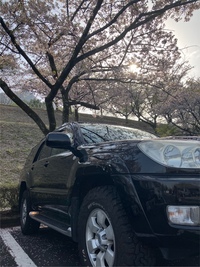 トヨタ ハイラックスサーフ SSR-X_4WD(AT_3.0ディーゼル)