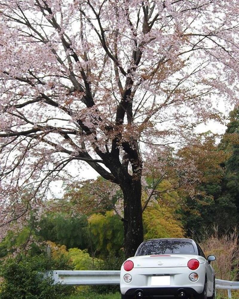 ダイハツ コペン セロ S（CVT_0.66)