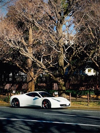 フェラーリ 458イタリア