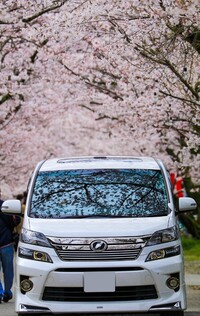トヨタ ヴェルファイア 2.4Z“ゴールデンアイズII”_7人乗り(CVT_2.4)