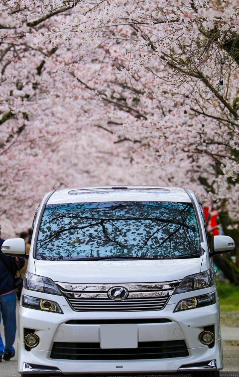 トヨタ ヴェルファイア 2.4Z“ゴールデンアイズII”_7人乗り(CVT_2.4)