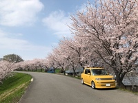 トヨタ bB