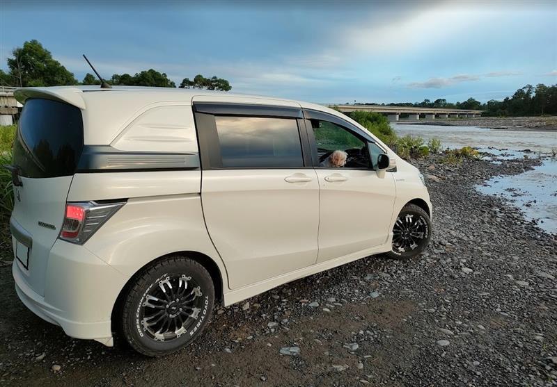 ホンダ フリードスパイクハイブリッド スパイクハイブリッド ジャストセレクション(CVT_1.5)