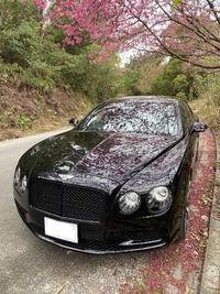 ベントレー フライングスパー フライングスパー V8_RHD_5人乗り_4WD(AT_4.0)