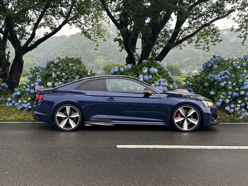 アウディ RS5 RS5_RHD_4WD(AT_2.9)