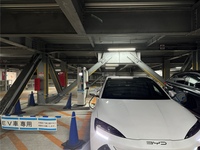 BYD シール シール_RHD