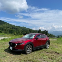 マツダ CX-30 20S プロアクティブ ツーリングセレクション_4WD(AT_2.0)