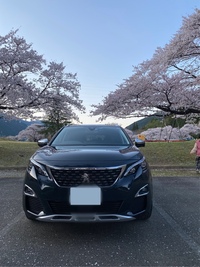 プジョー 3008 クロスシティ ブルーHDi_RHD(EAT_2.0)