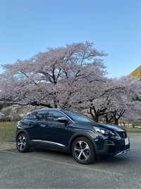 プジョー 3008 クロスシティ ブルーHDi_RHD(EAT_2.0)