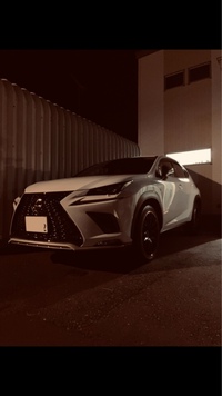 レクサス NX 300“Fスポーツ”_AWD(ECT_2.0)