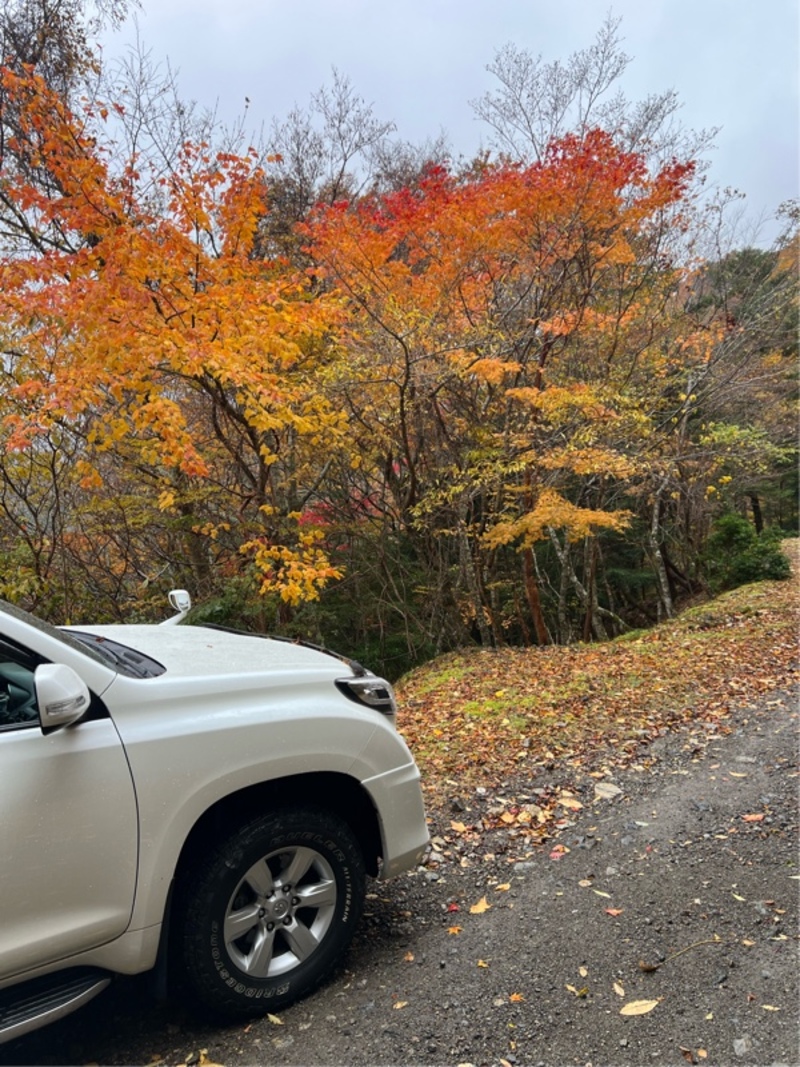 トヨタ ランドクルーザープラド TX_5人乗り_4WD(AT_2.8)