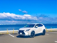 レクサス NX