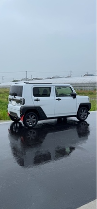 ダイハツ タフト Gターボ_4WD(CVT_0.66)