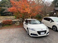 ホンダ CR-Z