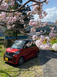 日産 デイズルークス ハイウェイスターX Vセレクション_4WD(CVT_0.66)