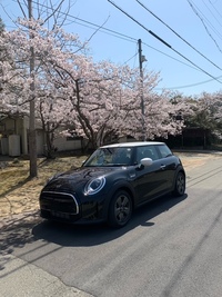 ミニ MINI クーパー 3ドア_RHD(DCT_1.5)