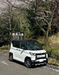 三菱 デリカミニ Tプレミアム(CVT_0.66)