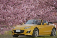 マツダ ロードスター RS RHT(MT_2.0)