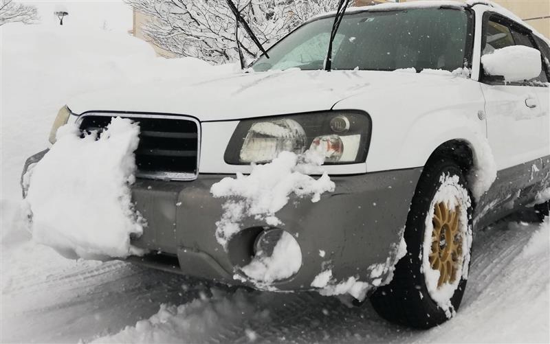 スバル フォレスター X20_L_L_Bean_EDITION_4WD(MT_2.0)