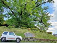 日産 キックス RX_4WD(AT_0.66）