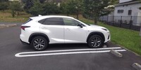 レクサス NX 300“Fスポーツ”_AWD(ECT_2.0)