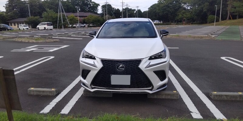 レクサス NX 300“Fスポーツ”_AWD(ECT_2.0)