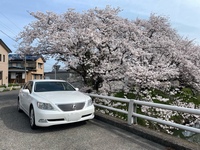 レクサス LS