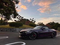 BMW Z4 ロードスター M40i_RHD(AT_3.0)