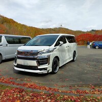 トヨタ ヴェルファイアハイブリッド ハイブリッド Z_7人乗り_E-Four(CVT_2.5)