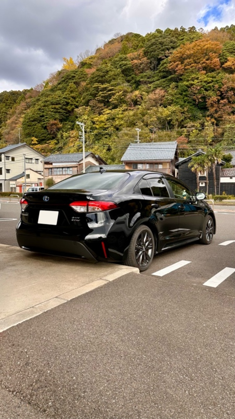 トヨタ カローラ W×B(CVT_1.5)