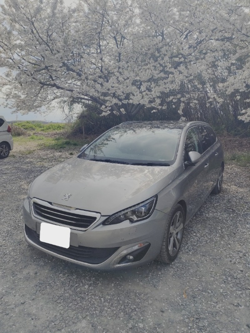 プジョー 308SW （ワゴン）