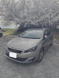 プジョー 308SW （ワゴン）