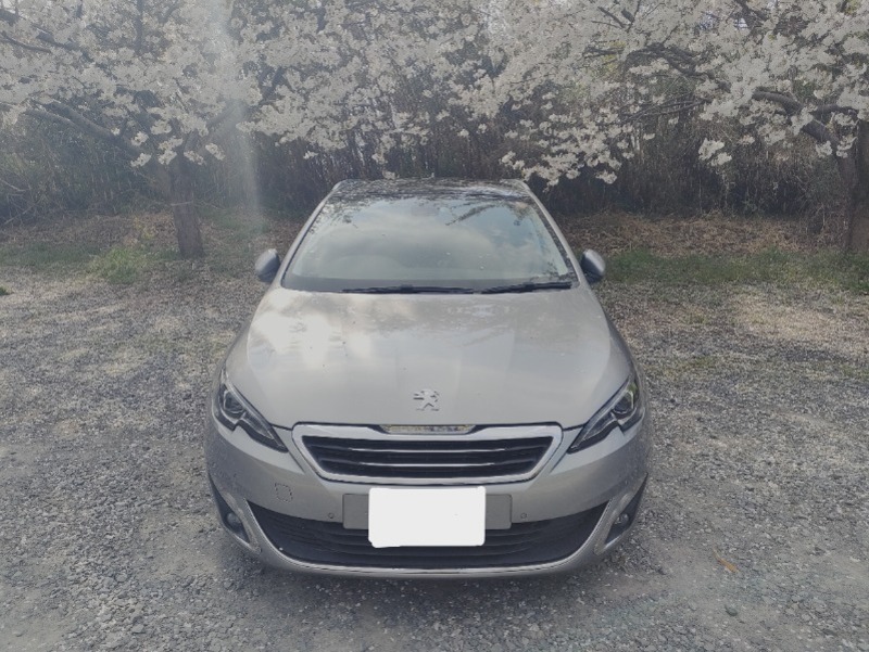 プジョー 308SW （ワゴン）