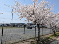 マツダ ベリーサ C(AT_1.5)
