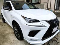 レクサス NX 300“Fスポーツ”_AWD(ECT_2.0)
