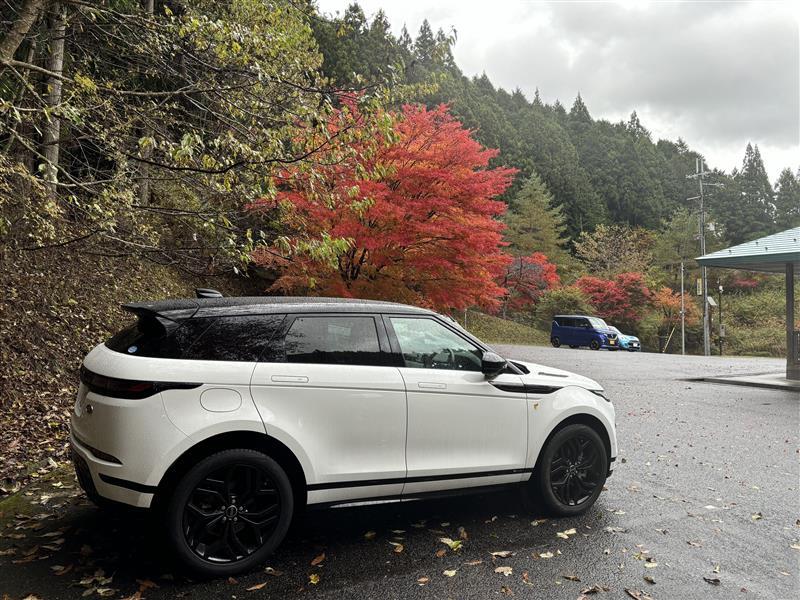 ランドローバー レンジローバーイヴォーク Rダイナミック SE P250_RHD_AWD(AT_2.0_ガソリン)
