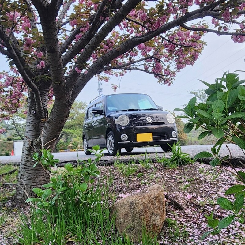 ダイハツ ミラココア プラスX(CVT_0.66)