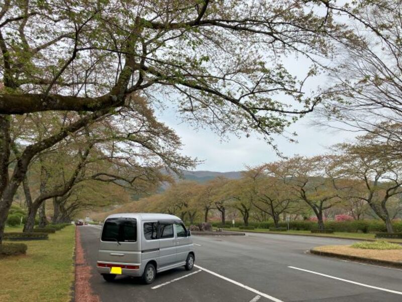 ホンダ バモスホビオ L(AT_0.66)