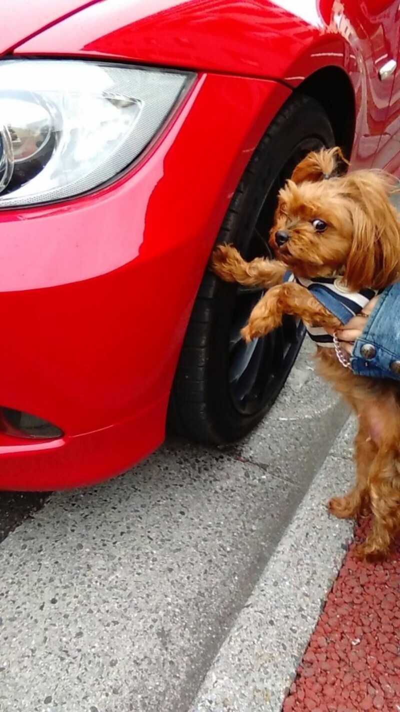 BMW 3シリーズ セダン