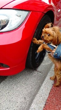 BMW 3シリーズ セダン