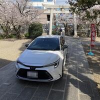 トヨタ カローラ W×B(CVT_1.5)