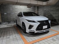 レクサス RX 300“Fスポーツ”(ECT_2.0)