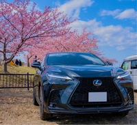レクサス NX PHEV 450h+“Fスポーツ”_E-Four(CVT_2.5)