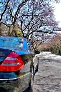 メルセデス・ベンツ Eクラス セダン E500アバンギャルド_RHD(AT_5.0)