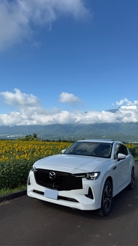 マツダ CX-60 XDハイブリッド エクスクルーシブモダン_4WD(AT_3.3)
